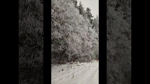 Зимняя фантазия❄❄❄ смотреть онлайн