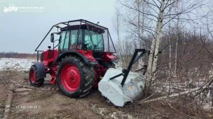 На что способен МТЗ на расчистке с мульчером Niubo Multy Diamond TYD200