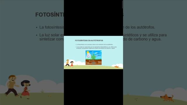 Exposición Nutrición en Autótrofos, Heterótrofos y Quimiosintéticos. Grado Sexto. Alex.R.Mag PPT смотреть онлайн