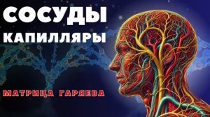 Исцеление Сосудов и Капилляров*Восстановление Здоровья через Уникальную Матрицу Здоровья