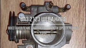 ВАЗ 2123 Chevrolet Niva. Восстановление работоспособности дроссельного узла (дроссельной заслонки)