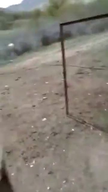 Аварский джигит (Дикая Дивизия) смотреть онлайн