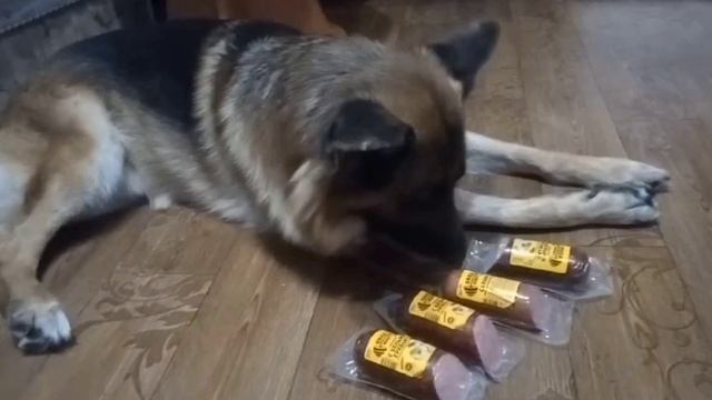 Амур с колбасой.😂😂😂 смотреть онлайн