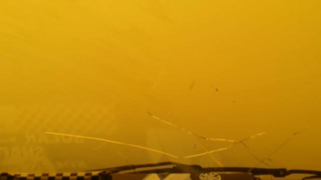 Горит лес смотреть онлайн