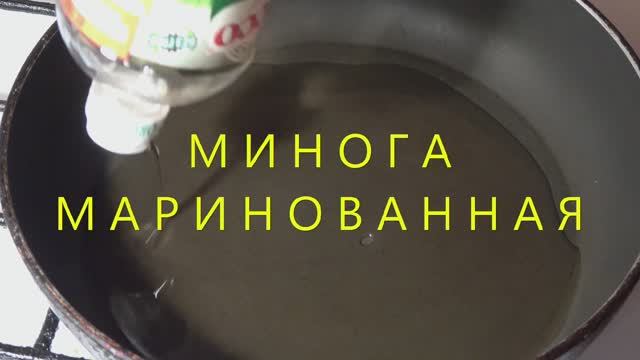 Маринованные миноги смотреть онлайн
