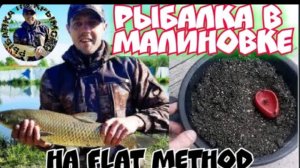 Малиновка рыбалка. Фидер. Ловля амура на флет метод.