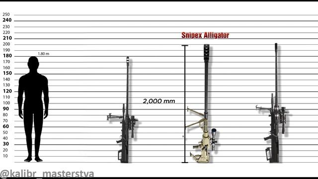 🔫 Сравнение размеров винтовок (Часть 2)