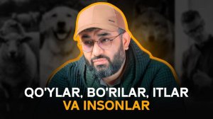 Qo'ylar, bo'rilar, itlar va insonlar | IBRATLI HIKOYA | Abdukarim Mirzayev