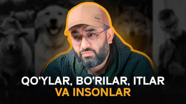 Qo'ylar, bo'rilar, itlar va insonlar | IBRATLI HIKOYA | Abdukarim Mirzayev