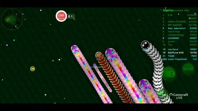 Wormax.io Best Moments Стрим смотреть онлайн