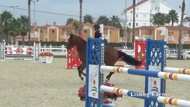 Light Year Oliva 7 year old final смотреть онлайн