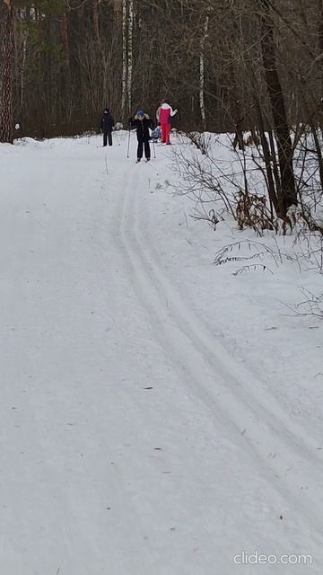 Январское катание на лыжах