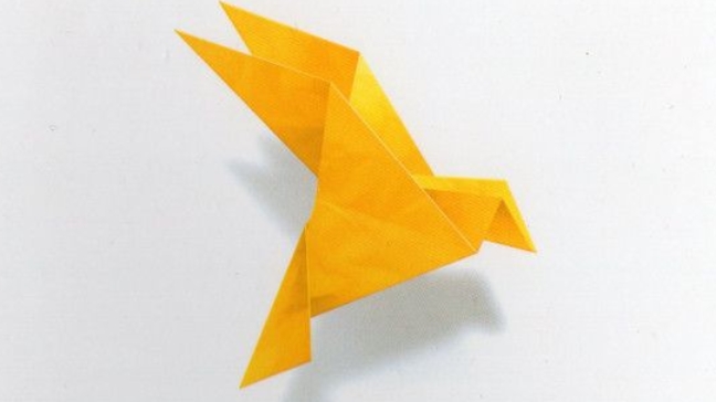 Evolution... эволюции