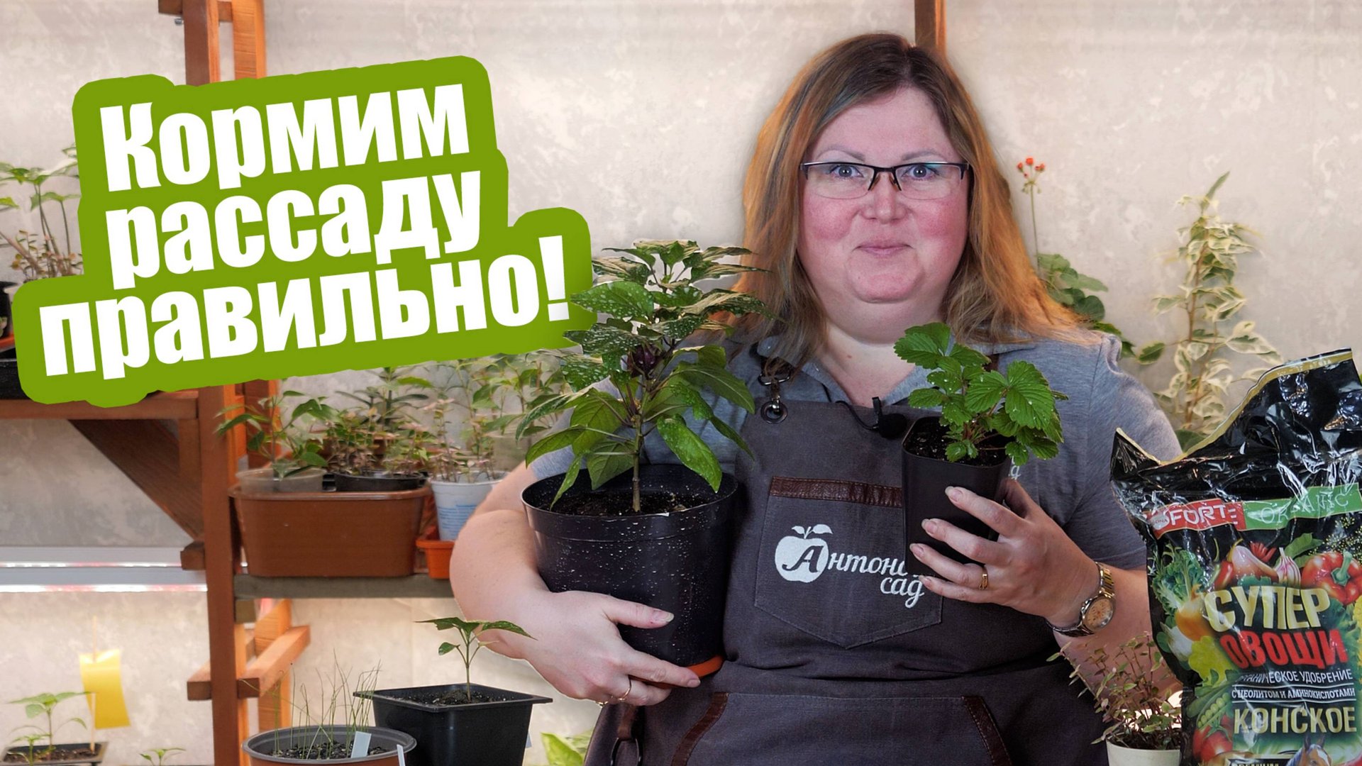 Удобрения для рассады: когда и чем нужно подкармливать. Чего не хватает рассаде? смотреть онлайн