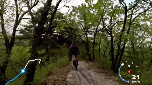 Песчанка - 12.05.2024 смотреть онлайн