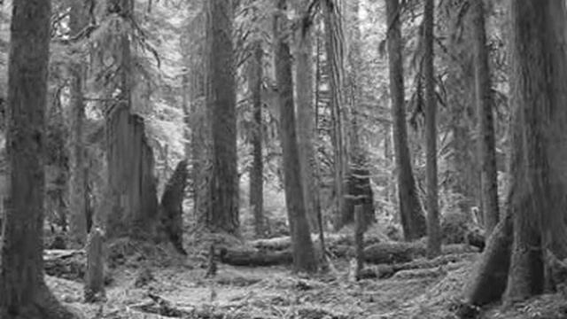 gorgoroth incipit satan смотреть онлайн