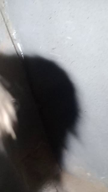 Как снять заднюю фару lada kalina 1 смотреть онлайн