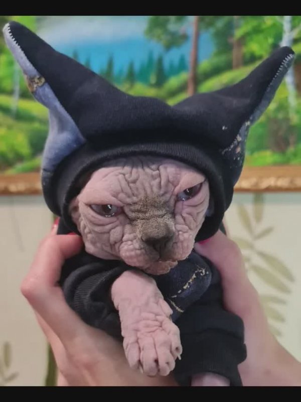 Милашки с Маркетплейса 10 / Cuties from the Marketplace 10