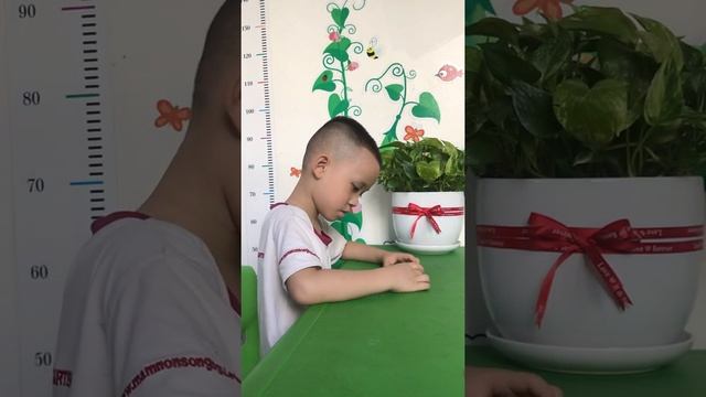 Bé Anh Quân lớp Koala - Kết quả test môn Toán IQ HKII смотреть онлайн