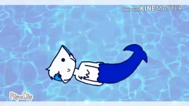Dolphin on wheels meme //animation //flipaclip ( collab with Sushi night Animations) смотреть онлайн