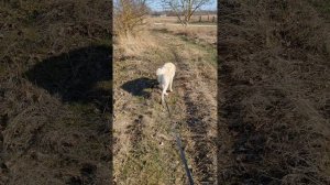 плюсы и минусы жизни на Кубани