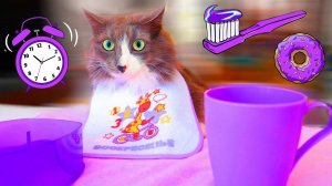 Челлендж сиреневого утра: Киса Алиса и всё в одном цвете 😺💜