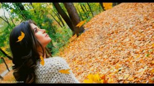 песня для души Так часто бывает Николай Джинчарадзе!