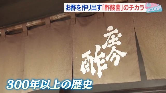 花粉飛散シーズン　症状を訴える人増　酢酸菌が花粉症対策の救世主！？【アサデス。】 смотреть онлайн
