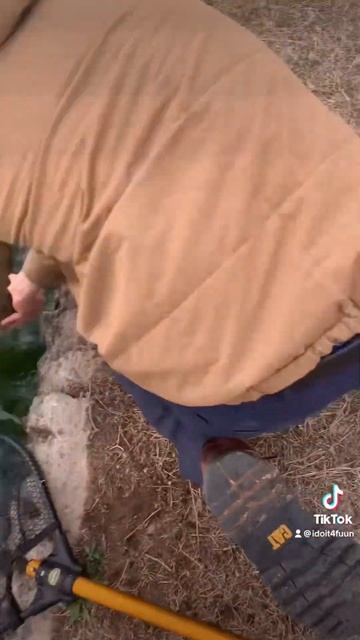 Some mirror carp action! My first full scale 😍😍 смотреть онлайн