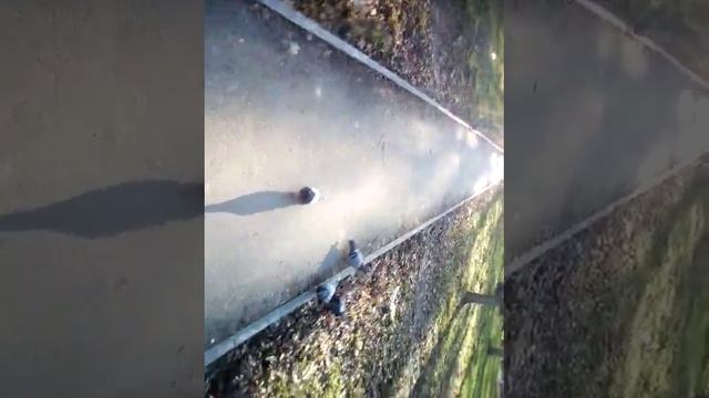 За нами шла стая голубей смотреть онлайн