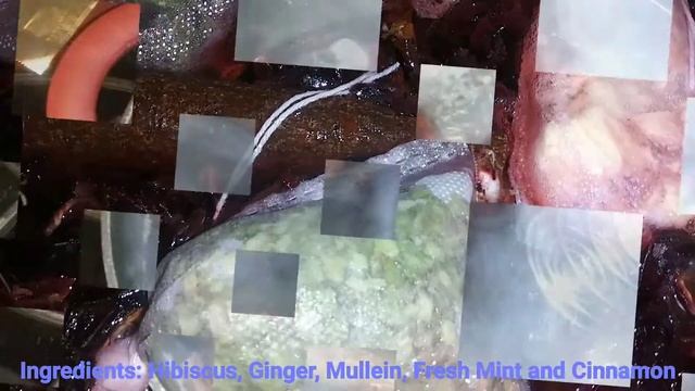 Fresh Herbal Tea Blend - Ginger, Mint, Hibiscus, Echinacea, Mullein and Cinnamon смотреть онлайн