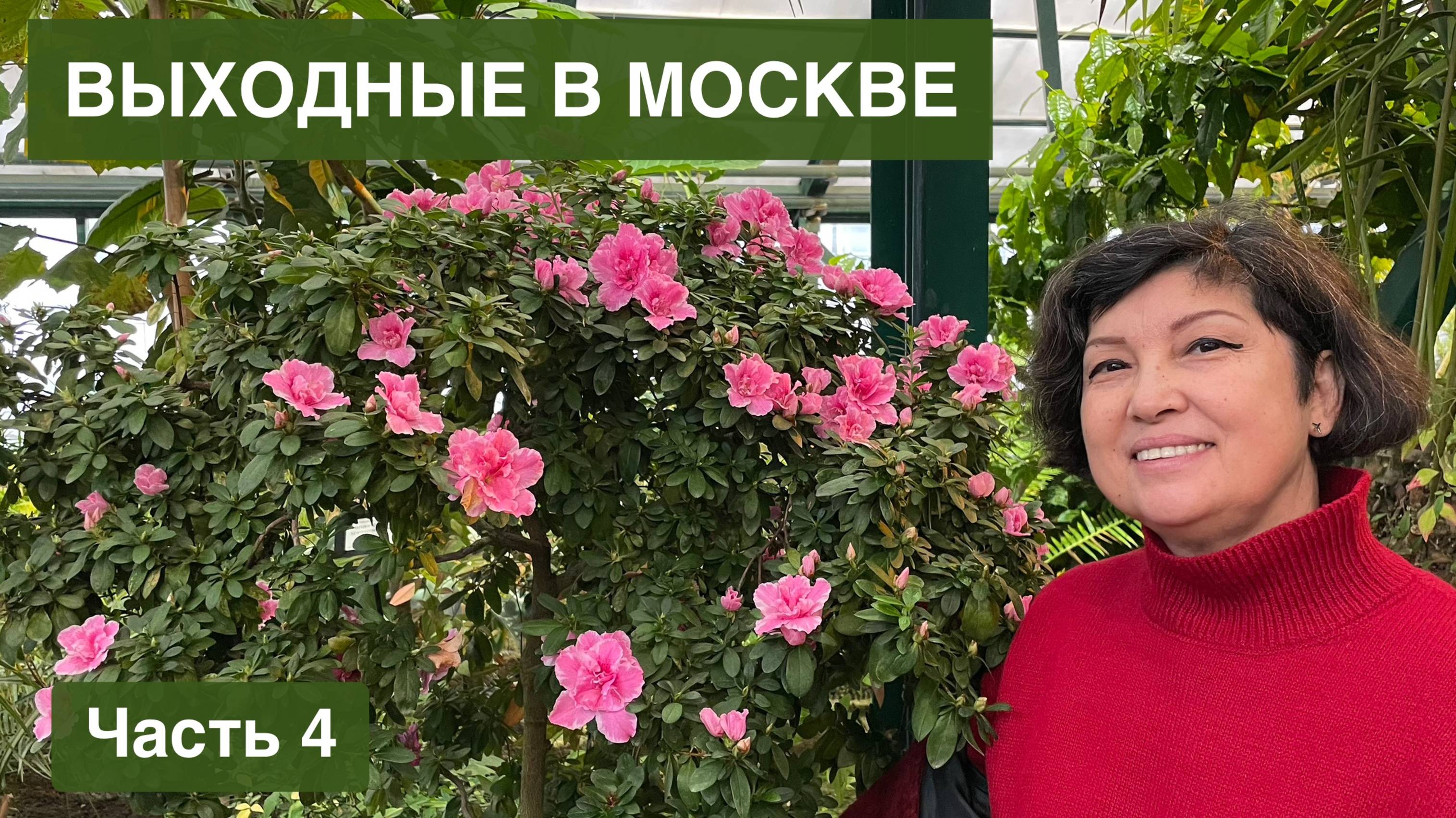 ВЫХОДНЫЕ В МОСКВЕ! Часть 4. Оранжереи "Аптекарского огорода" и наш легендарный отель "Космос" смотреть онлайн