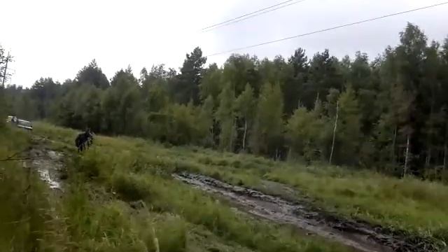 2013 08 05 Балашиха 4Х4 дорога в Королев смотреть онлайн
