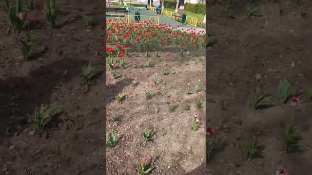 солнечный день смотреть онлайн