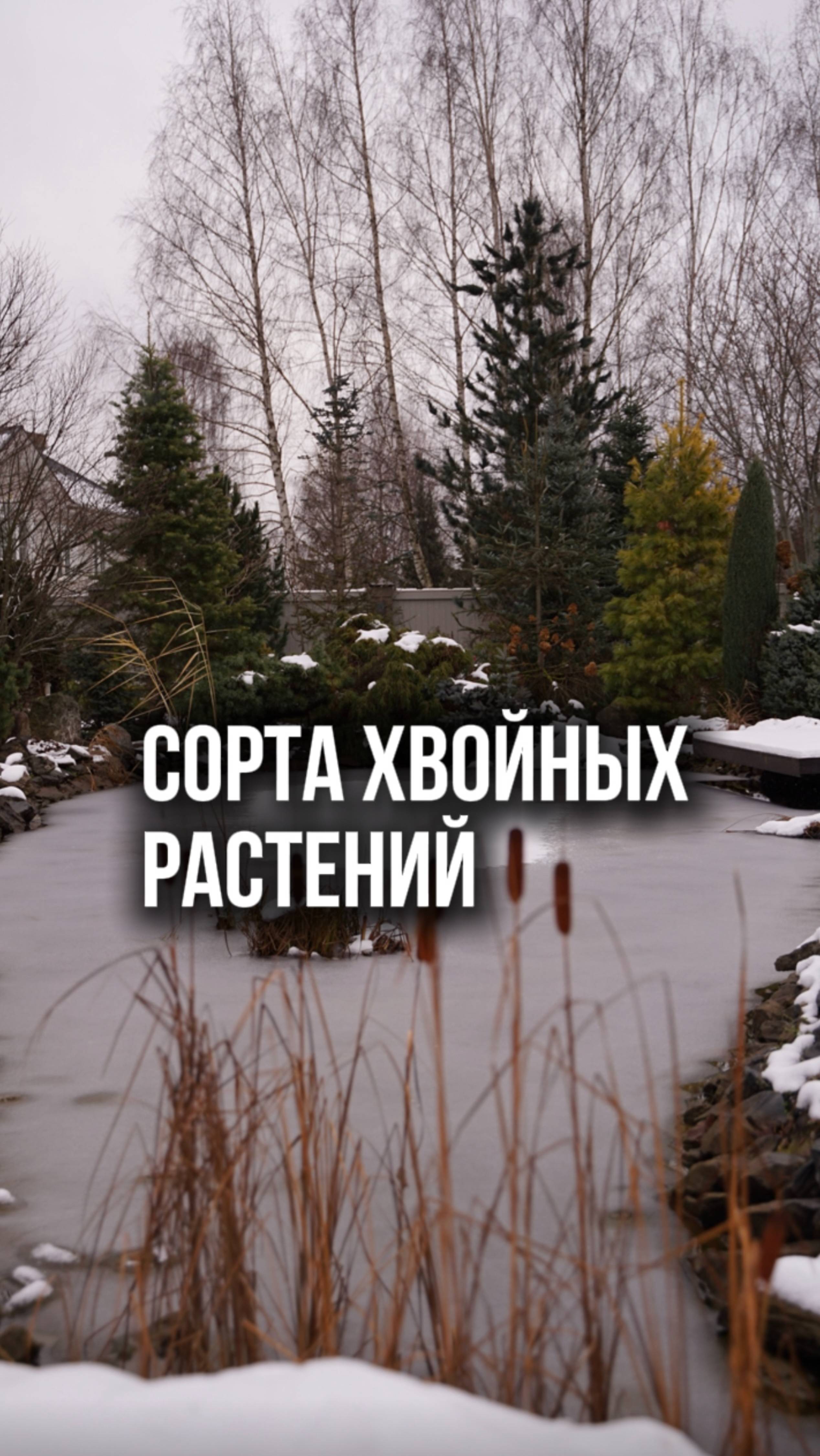 А вы гоняетесь за сортами? смотреть онлайн