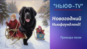 Премьера песни "Новогодний Ньюфаундленд!"