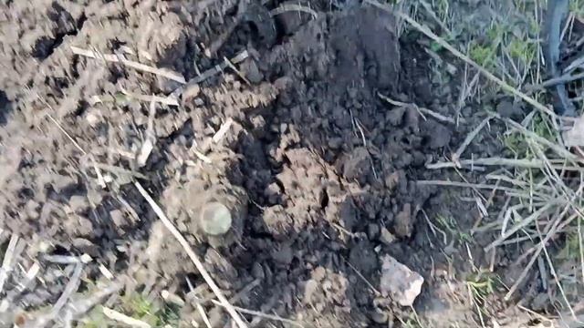 Серія 21. Козацькі артефакти