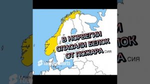 Н.А. Некрасов _Приключение капитана Врунгеля_