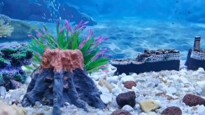 Титаник ✌️😉