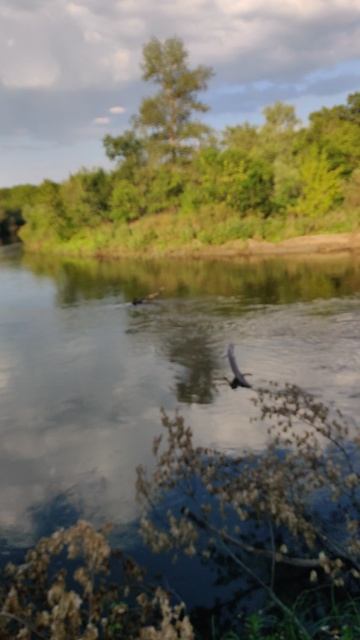 VID_20240611_183403 смотреть онлайн