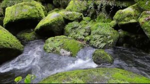 ПОДАГРА*ИСЦЕЛЯЮЩАЯ МУЗЫКА НА ИСЦЕЛЕНИЕ КОСТЕЙ*МЕДИТАЦИЯ