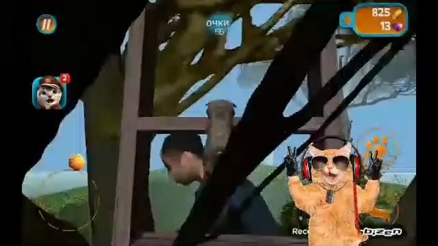 Топ 3 симуляторов котов смотреть онлайн