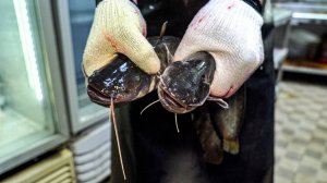 Тушёная пресноводная рыба по-корейски. Продается по 2 тонны в месяц.