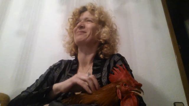 31 декабря 2017 г. Сидим за столом смотреть онлайн