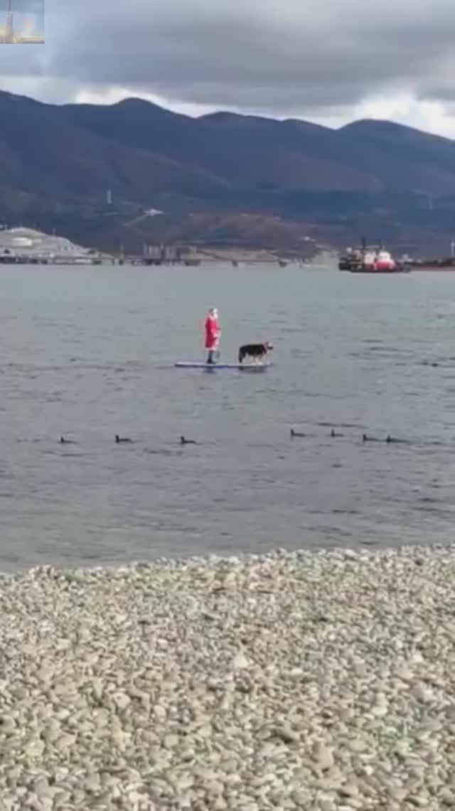 Дед Морозы и Снегурка поплыли домой😀 Задержались на праздниках🍾🎇 смотреть онлайн