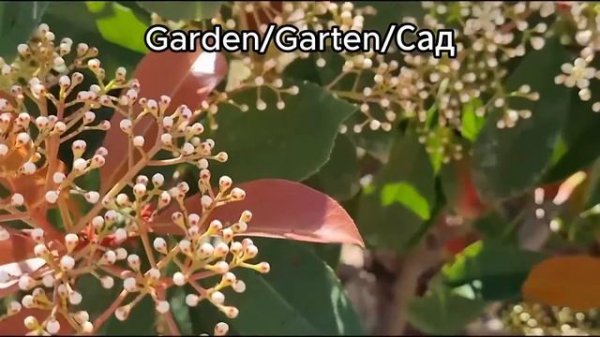 Paloma Grida Village & Spa Turkey 2023 Hotel