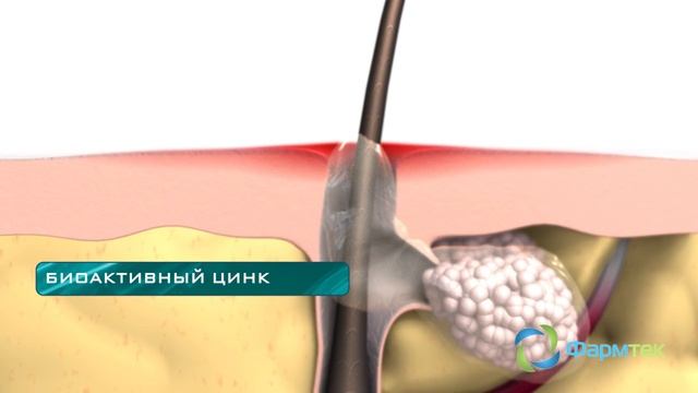 ZINOVIT OK