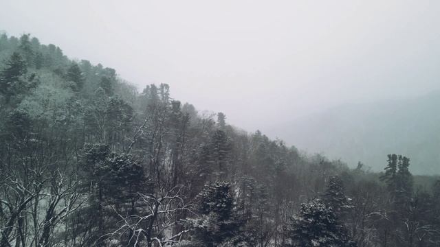 White Hills Of Primorye / Белые сопки Приморья