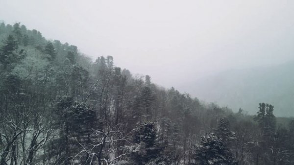 White hills of Primorye / Белые сопки Приморья
