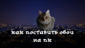 Как поставить обои на пк